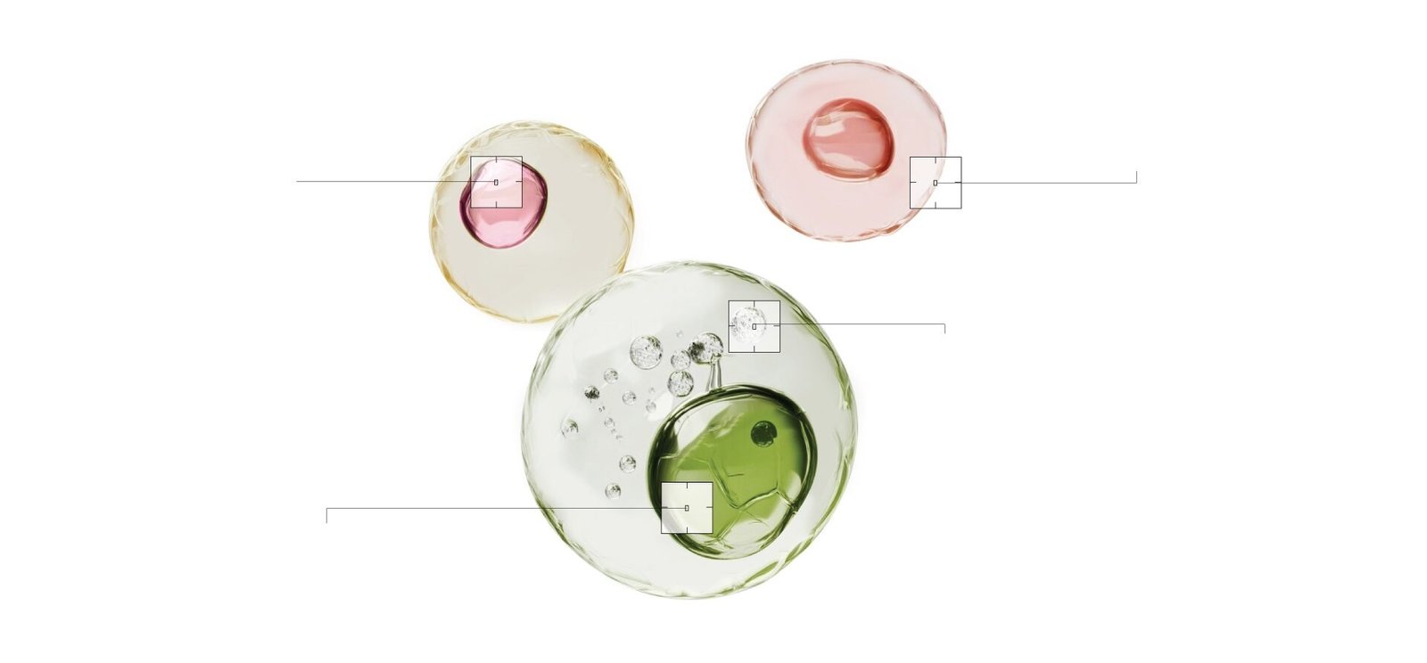 Peptide-Powered Botanical Hair Support Complex